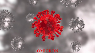 Muncul Subvarian Omicron BN.1, Diklaim Lebih Menular