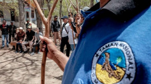Tiket TN Komodo Rp3,75 Juta Dibatalkan, Pelaku Wisata Semringah