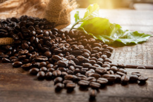 Optimalkan Produk Mustahik, Baznas Galakan Program ZCoffee