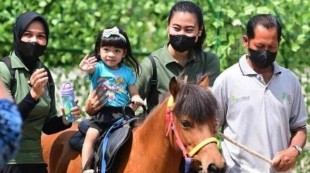 Solo Safari Diyakini akan menjadi Ikon Wisata Baru di Surakarta