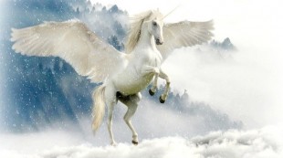 Mengenal Buraq, Kendaraan Rasulullah SAW dalam Peristiwa Isra Miraj