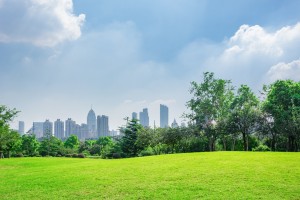 Menjaga Lingkungan Hidup ala Rasulullah Bisa Dimulai dari Masjid