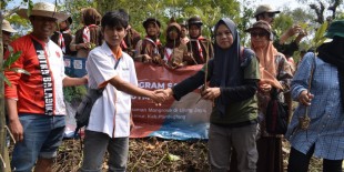 Antisipasi Kerusakan Lingkungan, Lazismu Salurkan Bantuan Ribuan Pohon
