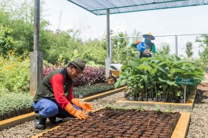 SIG dan Semen Padang Raih Subroto Award 2023 atas Inovasi di Lahan Reklamasi