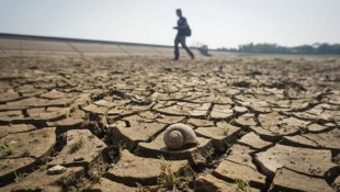 Petani Gagal Panen karena El Nino, Ahli Ekonomi Soroti Strategi Mitigasi