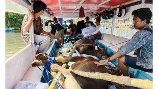 Daqu PPPA Salurkan Daging Qurban Sampai Daerah Terpencil