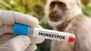 Cacar Monyet Mewabah, WHO Segera Bentuk Komite Darurat