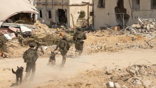 Konflik Israel-Palestina: Korban Jiwa Terus Bertambah di Gaza