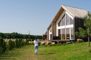 Tren Gaya Hidup Homestead, Apa Itu?