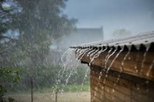 Jangan Sampai Tubuh Tumbang di Musim Hujan, Simak 5 Tips Sehat Ini