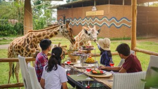 Liburan Kuliner Seru di Royal Safari Garden: Makan Enak Sambil Lihat Satwa