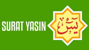 10 Keutamaan Surat Yasin: Jantungnya Al Quran, Membacanya Dimudahkan Urusan