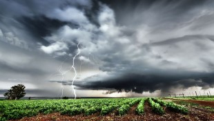 BMKG: 6 Kota Besar Indonesia Berpotensi Diguyur Hujan Disertai Petir Hari Ini