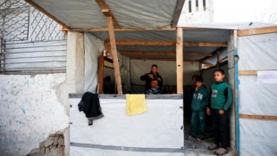 KTT Liga Arab Bahas Krisis Gaza Diundur ke 4 Maret, Arab Saudi Siapkan Solusi Baru