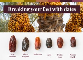 Suka Kurma, Kenali Jenisnya dan Inilah Negara Penghasil Kurma Terbanyak di Dunia