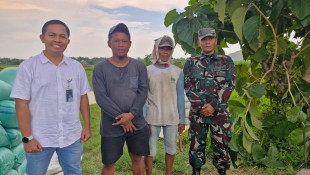 Idul Fitri, Bulog Mojokerto Tetap Serap 16 Ribu Gabah Beras Petani