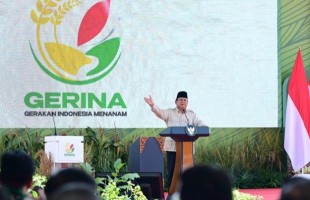 Asal Muasal Munculnya Gerakan Indonesia Menanam atau Gerina, Berawal dari Pertemuan Ustadz Adi Hidayat dengan Wamentan Sudaryono