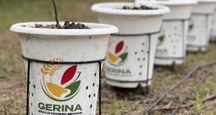 Ustadz Adi Hidayat Sebut Inovasi Pertanian Gerina Bisa Cukupi Kebutuhan Pangan Satu Keluarga