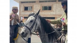 3 Warga Spanyol dan 1 Maroko Naik Haji Berjalan Darat Dengan Menunggang Kuda Tiba di Arab Saudi