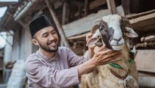 Jelang Idul Adha, Kementan Didorong Intensifkan Pemeriksaan Hewan Kurban
