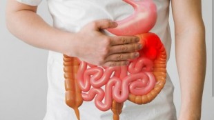 Kebiasaan Sehari-hari Ini Membuat Usus Lebih Cepat Menua