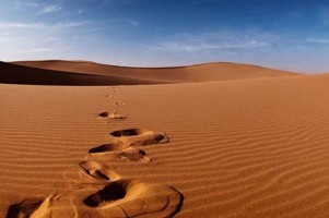 Ketika Ayat Hukum Waris Mengguncang Tradisi Arab Jahiliyah