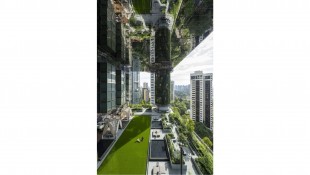 Duo Miliarder Ayah-Anak Singapura Pasarkan Kawasan Kuliner di Orchard Road Seharga Rp3,1 Triliun