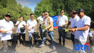 BTN Tanam 10.000 Bibit Mangrove di Bali, Perkuat Ketahanan Pesisir