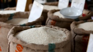 Antisipasi El Nino Ekstrem, DPR: Stok Pangan dan Harga Beras Harus Terjaga