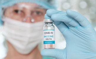 50 Juta Dosis Pfizer untuk Kejar Target Herd Immunity Indonesia