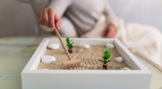 Taman Zen Imut di Meja Kerja, Bantu Rileks Saat Jenuh