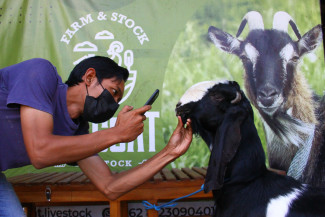 Inilah Syarat Berqurban Menurut Syariat Islam