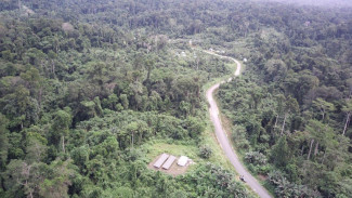 PLN Percepat Listriki Desa Terpencil di Papua, Undang Investor Perkuat Sistem Kelistrikan