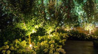 Ragam Lampu Taman untuk Pencahayaan Dramatis Malam Hari