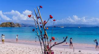 Pandemi Covid-19, Indonesia Tetap Promosi Wisata di Hong Kong