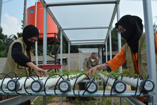 Tak Hanya Pelayanan Kelistrikan, PLN Turut Kembangkan Pertanian