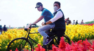 Kampoeng Wisata Ya Samman Cindo, Taman Bunga Celosia Instagramable di Banyuasin