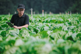 Kemenkop UKM Usul Tambahan Pembiayaan untuk Agregator di Sektor Pertanian