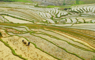 Rektor Al Azhar: Kemajuan Teknologi Kunci Entaskan Masalah Kedaulatan Pangan