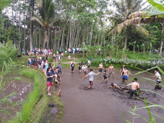 Desa Pentingsari, Desa Wisata di Yogyakarta yang Mendunia