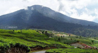 Menikmati Hamparan Kebun Teh di Kawasan Gunung Dempo Pagaralam