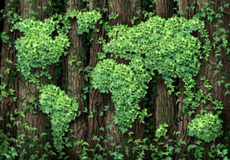 Bappenas Siapkan Tiga Strategi Dukung Ekonomi Hijau