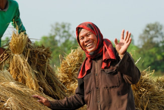 Komunitas Estate Padi Bergerak Latih Petani agar Mandiri dan Melek Teknologi