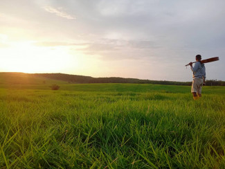 Sembawa, Sabana di Banyuasin dengan Nuansa New Zealand