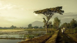 Desa Wisata Gegesik Kulon, Usung Konsep Wisata Budaya