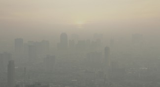 Polusi Udara Kurangi 2,5 Tahun Usia Orang Indonesia