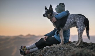 Cerita Anjing Setia selama Ratusan Tahun, Dikisahkan Al Quran