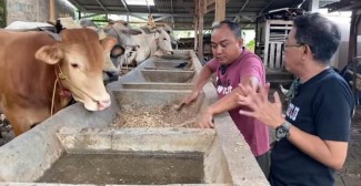 Komedian Azis Gagap Terjun Bisnis Hewan Ternak, Laris Manis Saat Lebaran