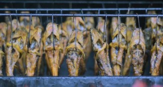 Kurangi Pengangguran, Berdayakan Emak-emak dari Nilai Tambah Produk Olahan Lele