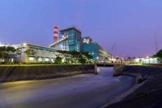 PLTU Co-firing Enceng Gondok Raih Penghargaan Internasional, PLN Komitmen Pada Isu Lingkungan